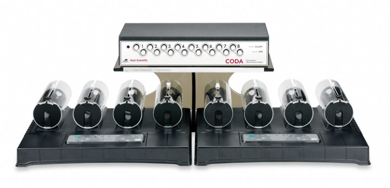 CODA® High Throughput Monitor