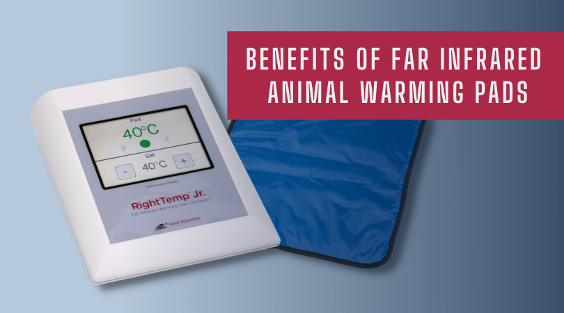 Benefits of Far Infrared Animal Warming Pads