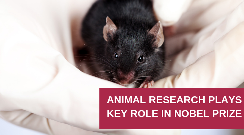 Animal Research Plays a Key Role in 2017 Nobel Prize