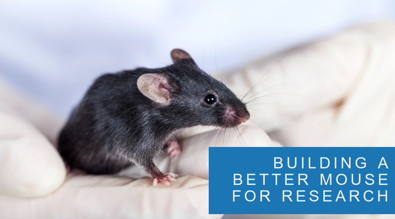 Building a Better Research Mouse