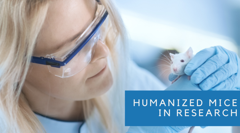 Humanized Mice and the Fight Against COVID-19