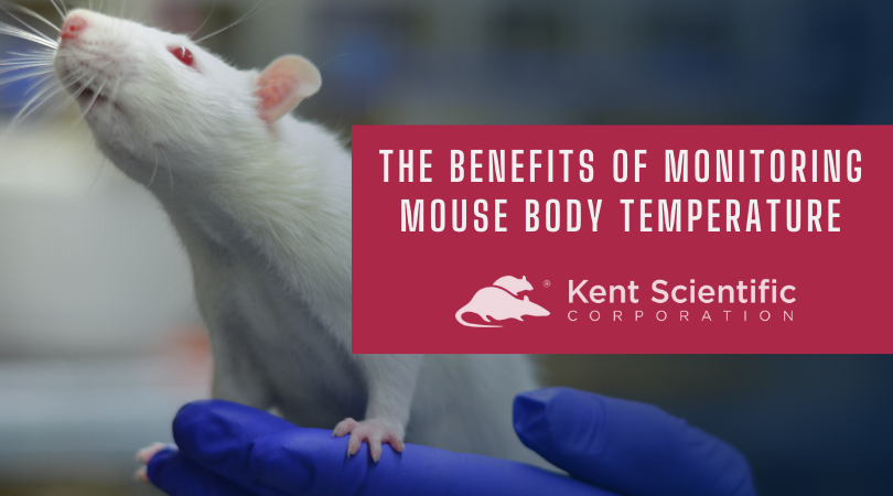 Benefits of monitoring mouse body temperature