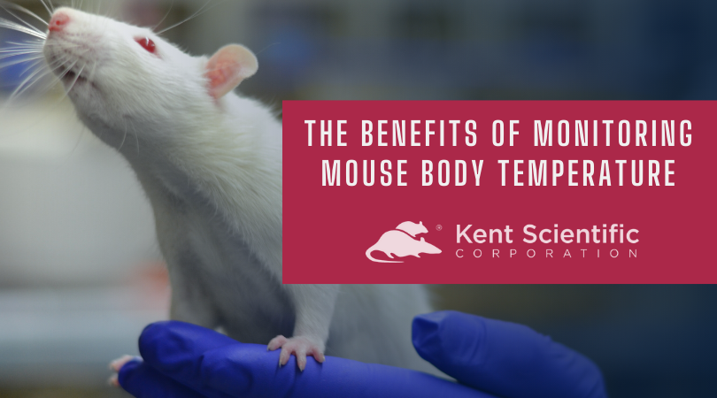 The Benefits of Monitoring Mouse Body Temperature The Benefits of Monitoring Mouse Body Temperature