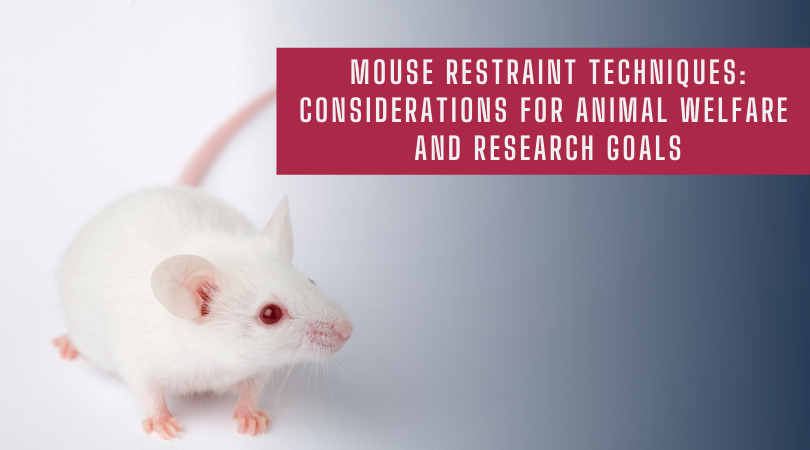 Mouse Restraint Techniques Considerations for Animal Welfare and Research Goals
