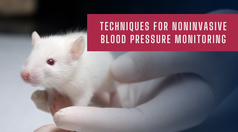 Techniques for Noninvasive Blood Pressure Monitoring