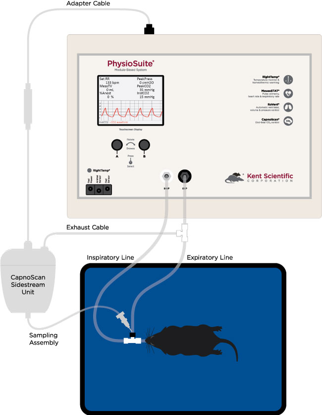 PhysioSuite and CapnoScan Connection Illustration