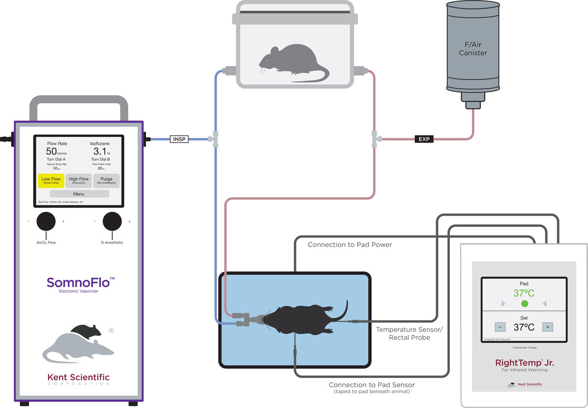 SomnoFlo Diagram