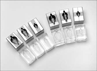 Stainless Steel Brain Matrices
