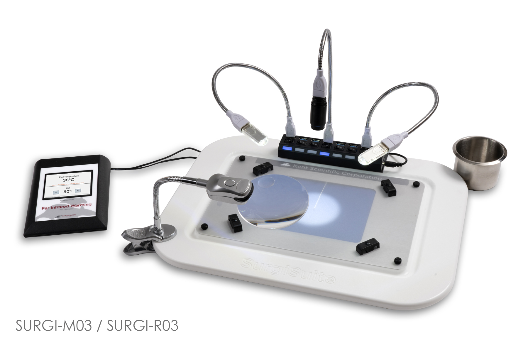 Rodent Surgical Instruments & Surgery Tools | Kent Scientific Rodent Surgical Instruments & Surgery Tools | Kent Scientific