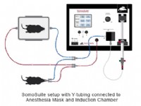 SomnoSuite Setup with Y Adapter