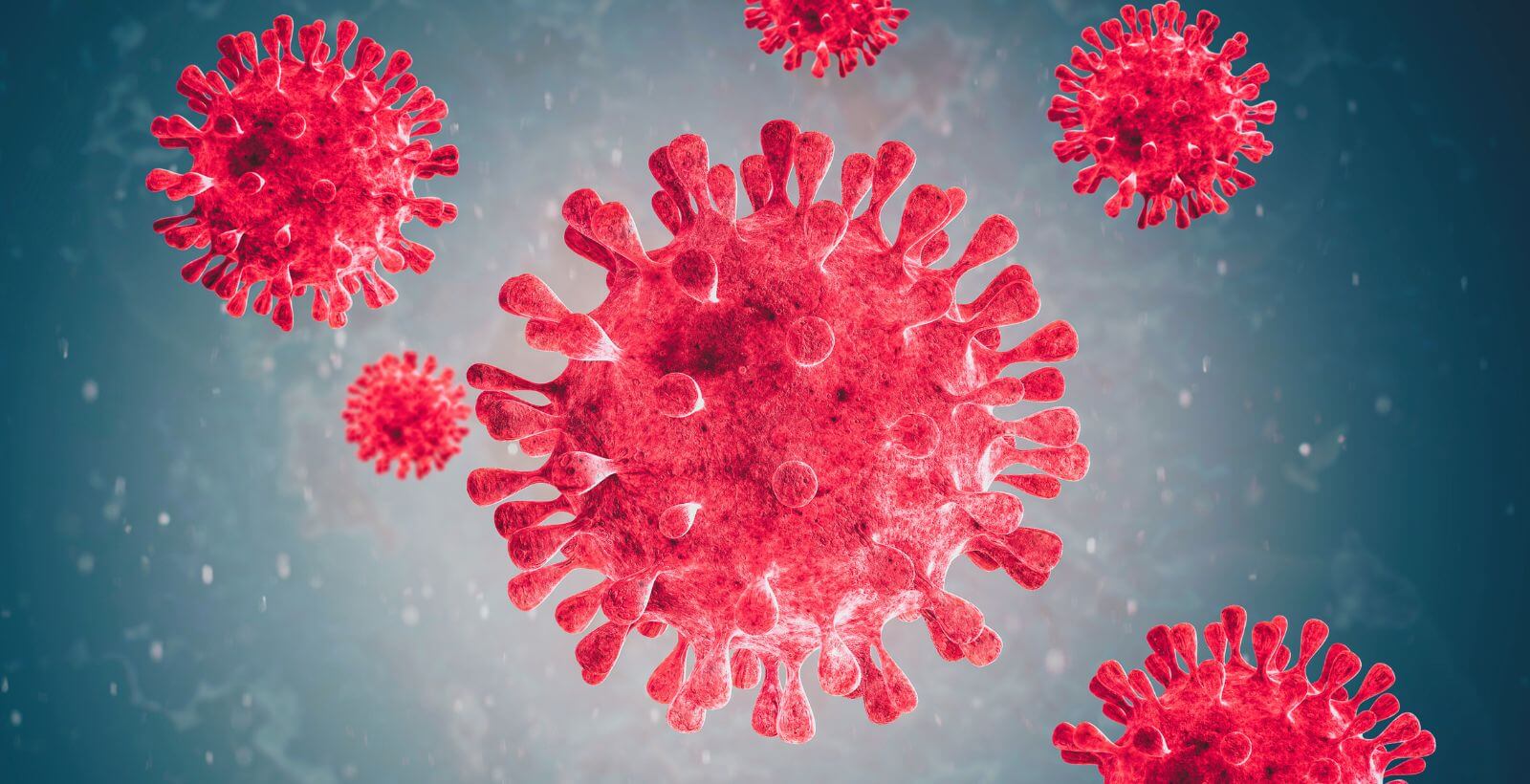 How antibodies work and why they’re important