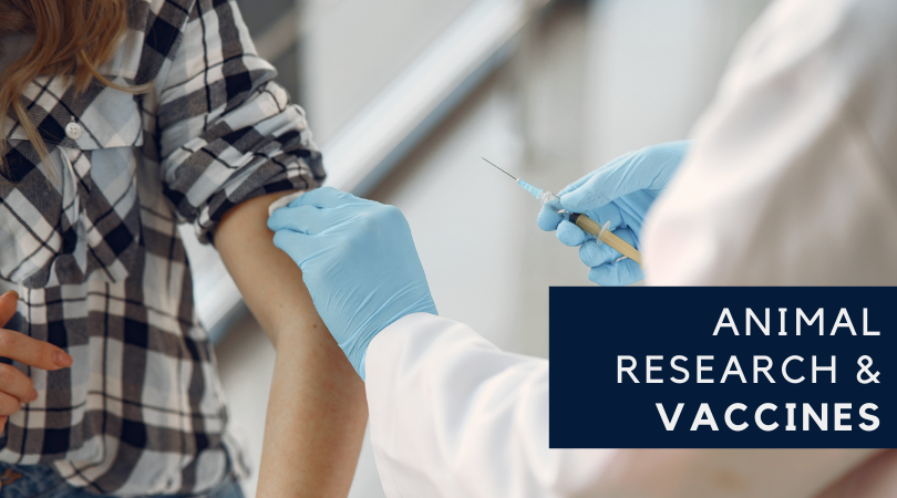 How is a Vaccine Created? Animal Research Plays a Key Role
