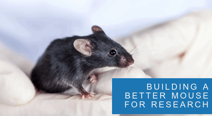 Building a Better Research Mouse