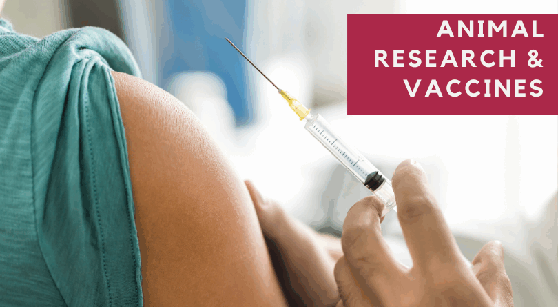 The Role of Animal Research in the History of Vaccine Development