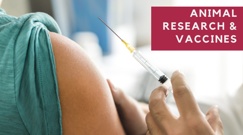 The Role of Animal Research in the History of Vaccine Development