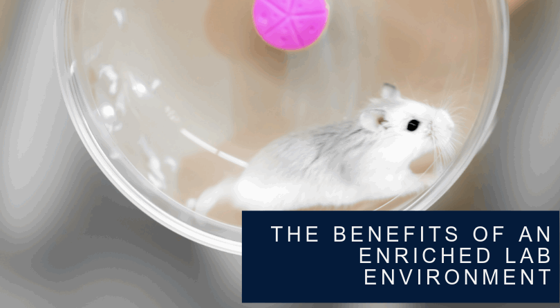 How Providing the Right Lab Environment for Research Mice Can Improve Experimental Results