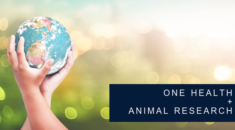 What is One Health and Why It Is Important for Scientific Research?