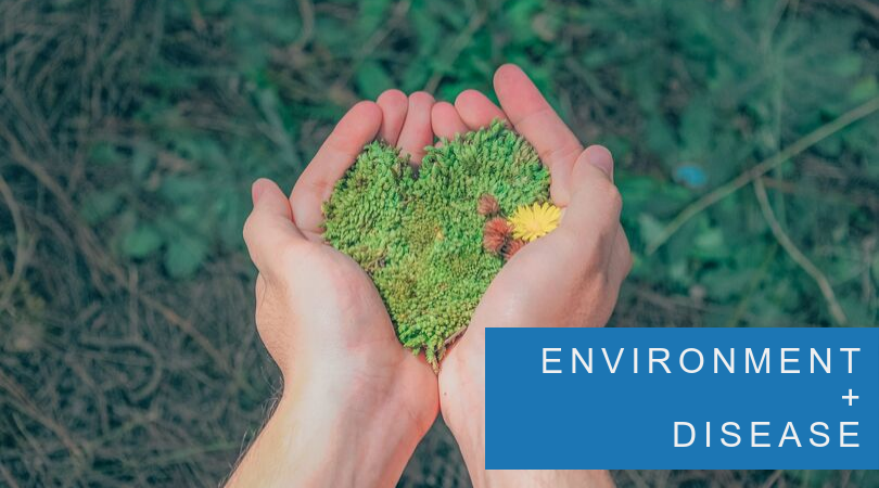 How the Environment Affects Disease