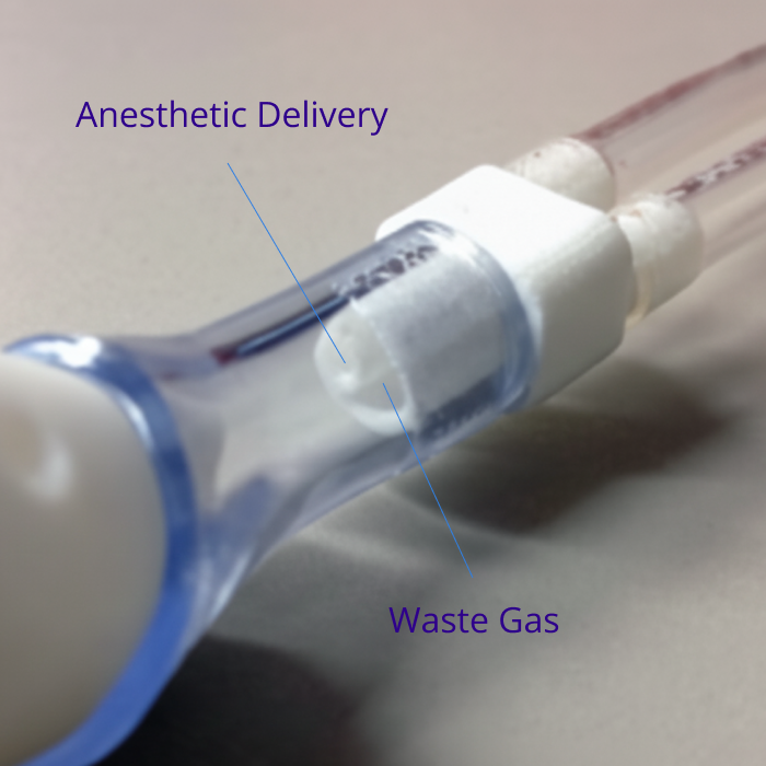 Mask annotated Anesthesia