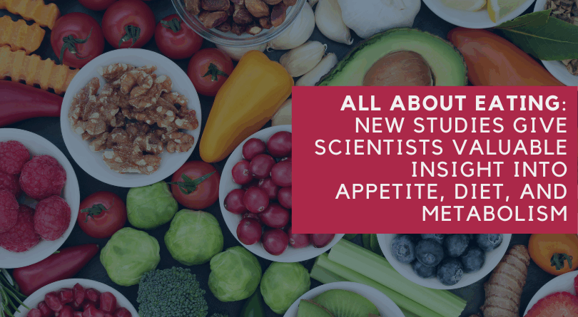 All About Eating: New Studies Give Scientists Valuable Insight into Appetite, Diet, and Metabolism