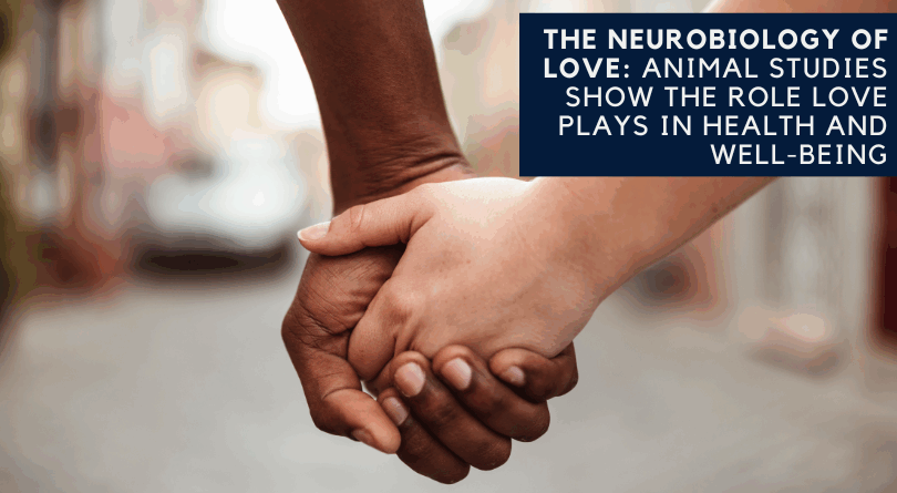The Neurobiology of Love: Animal Studies Show the Role Love Plays in Health and Well-Being