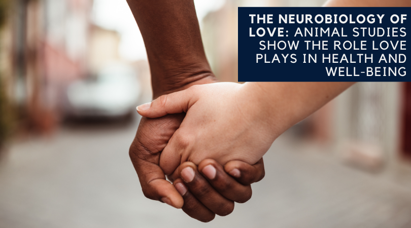 The Neurobiology of Love: Animal Studies Show the Role Love Plays in Health and Well-Being