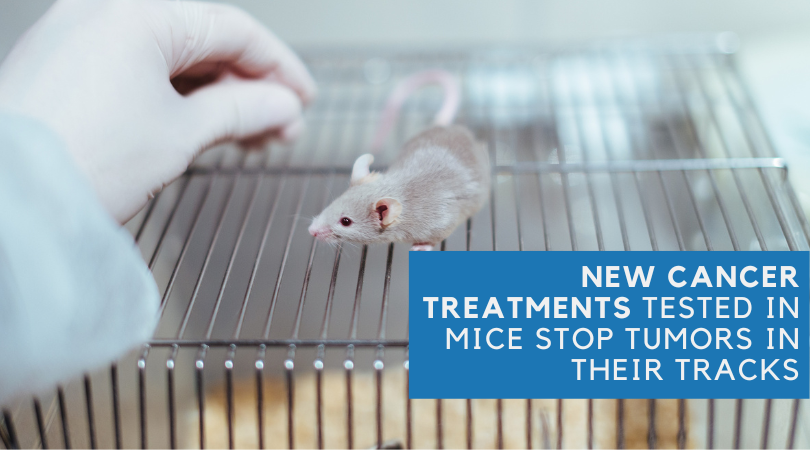 New Cancer Treatments Tested in Mice Stop Tumors in Their Tracks