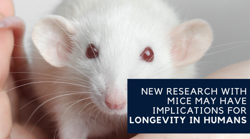 New Research with Mice May Have Implications for Longevity in Humans