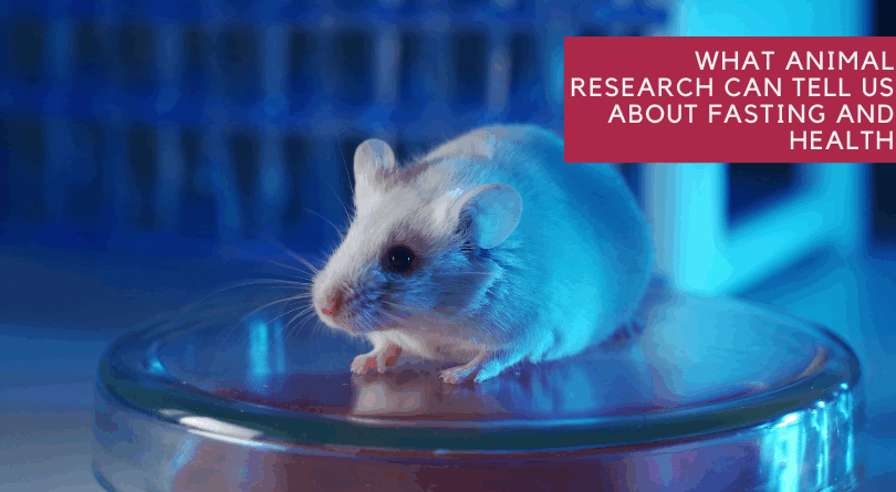 What Animal Research Can Tell Us About Fasting and Health