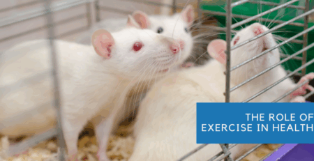 A Special Spooky Season Report: What Mice Studies Can Teach Us About Fear