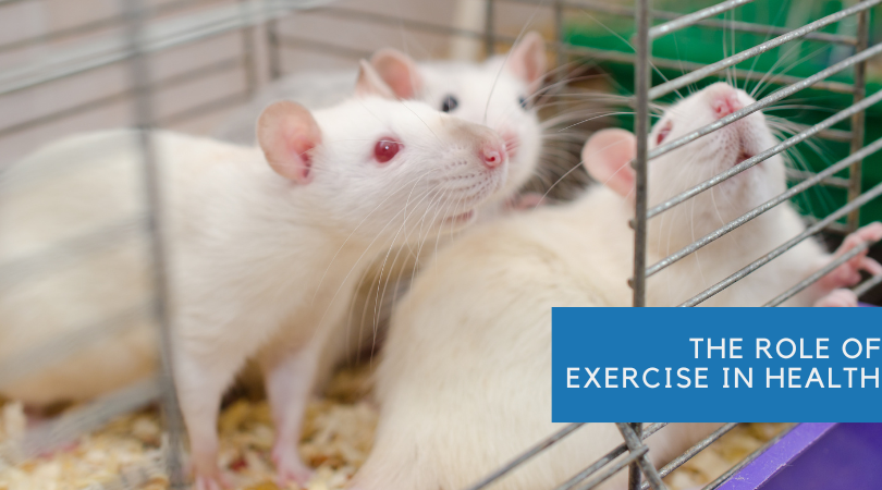 The Role of Exercise in Health