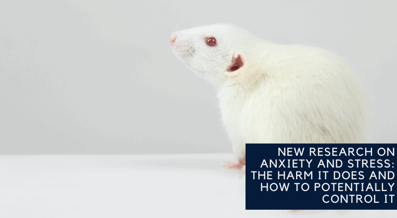 New Research on Anxiety and Stress: The Harm it Does and How to Potentially Control It