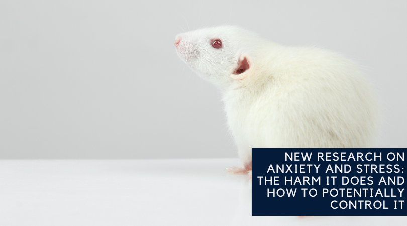 New Research on Anxiety and Stress: The Harm it Does and How to Potentially Control It