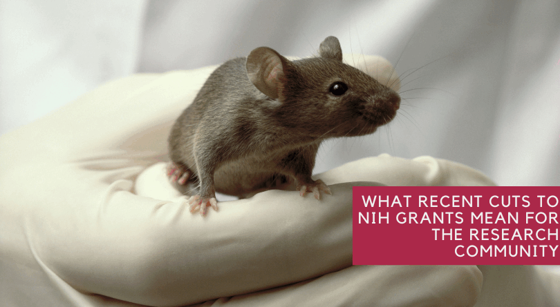 New Research with Mice Could Lead to Treatment for Spinal Injuries and Paralysis Therapy