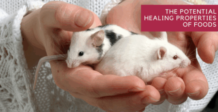 The Potential Healing Properties of Foods