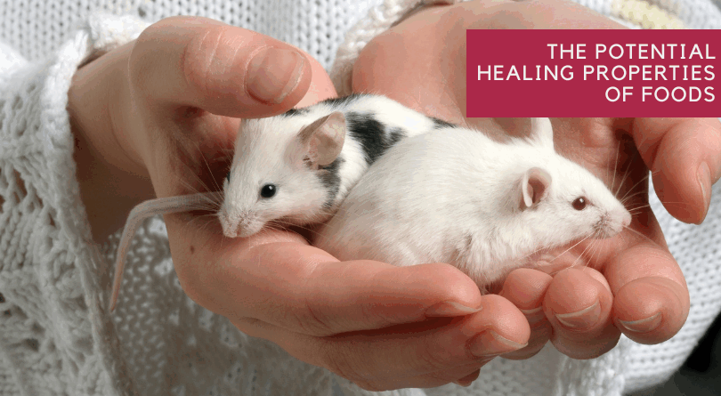 The Potential Healing Properties of Foods