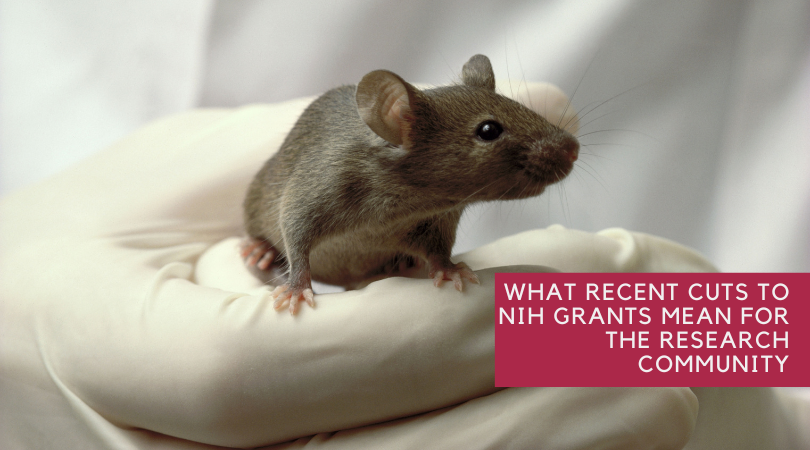 What Recent Cuts to NIH Grants Mean for the Research Community
