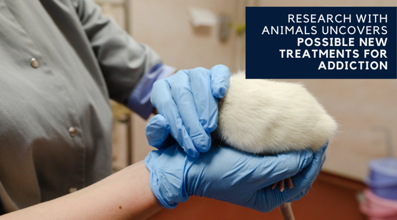 Research with Animals Uncovers Possible New Treatments for Addiction