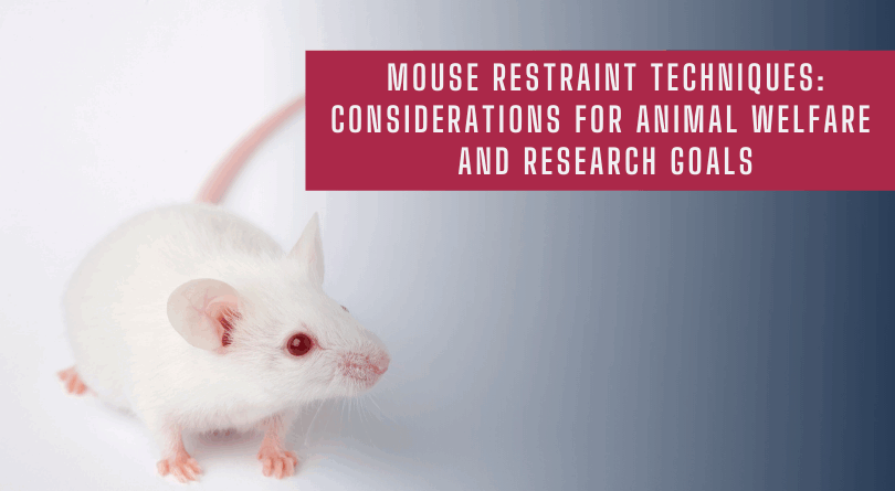 Mouse Restraint Techniques: Considerations for Animal Welfare and Research Goals