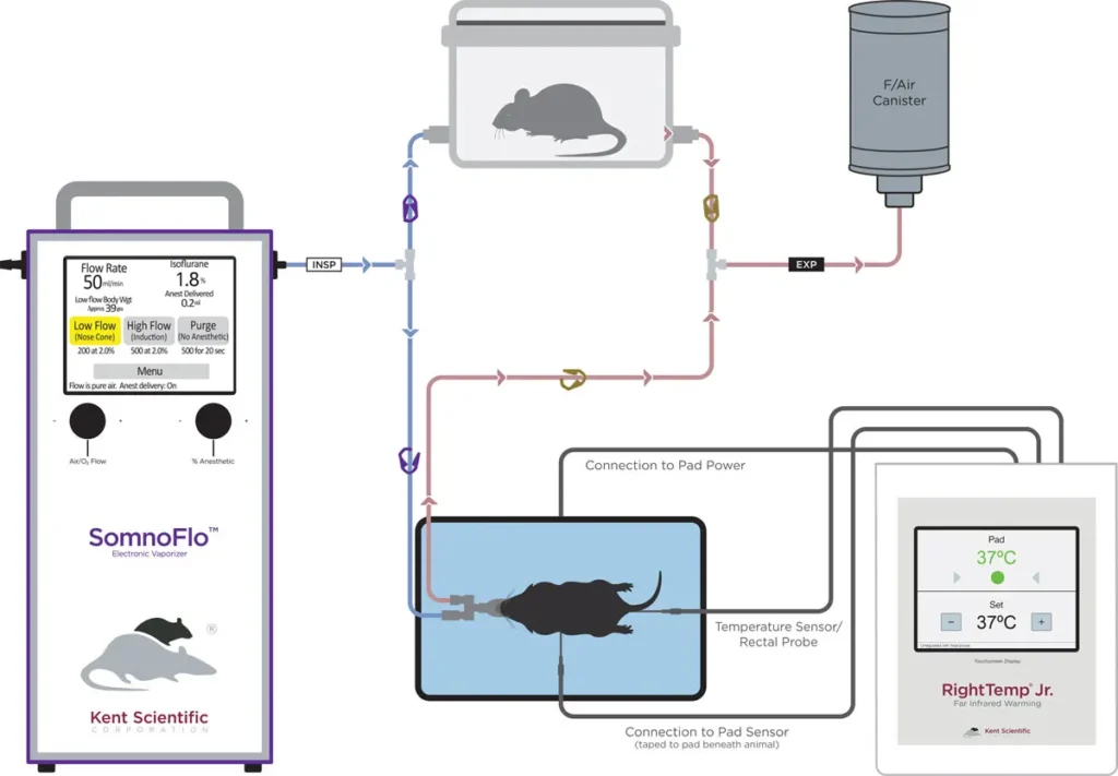 SomnoFlo with warming connection