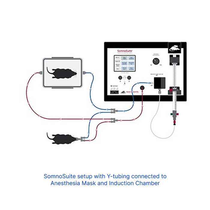 SomnoSuite Setup with Y Adapter Anesthesia