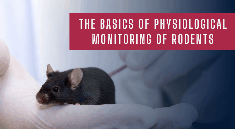 The Basics of Physiological Monitoring of Rodents