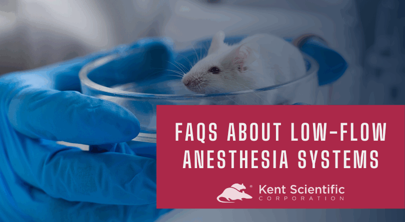 FAQs about Low-Flow Mouse and Rat Anesthesia Systems