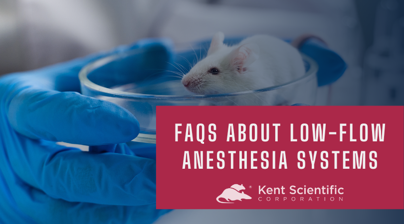 FAQs about Low-Flow Mouse and Rat Anesthesia Systems