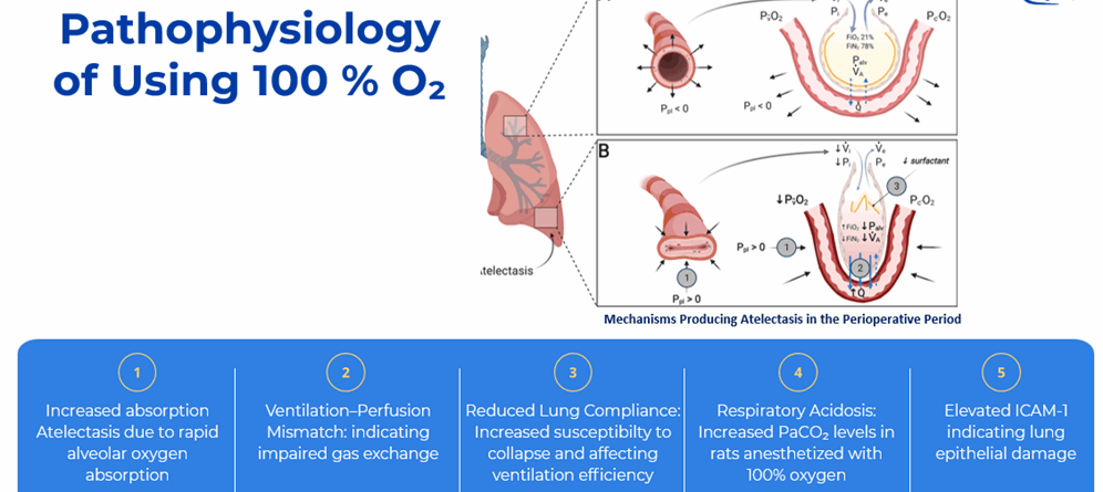 Advancing Research Animal Welfare Through Smarter Oxygen Control During Anesthesia
