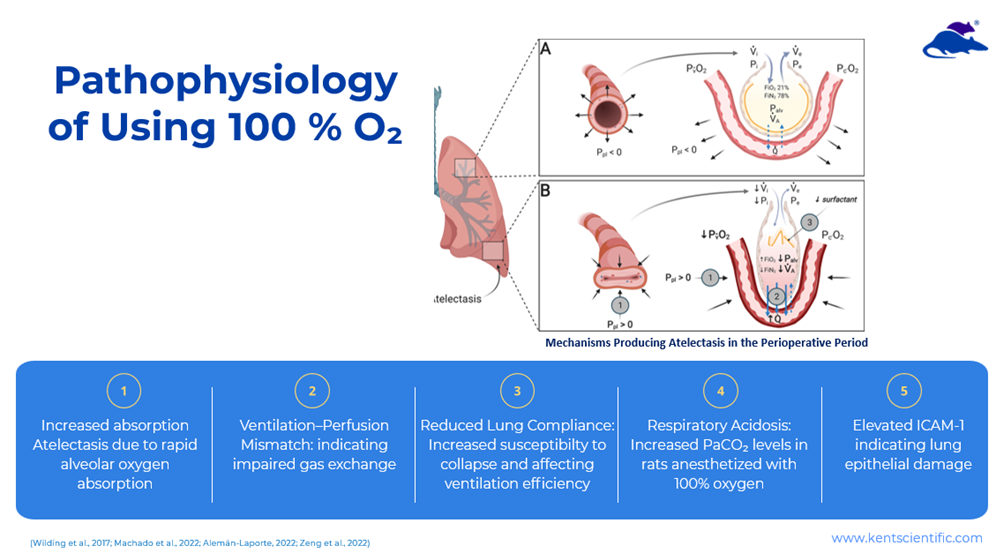 Advancing Research Animal Welfare Through Smarter Oxygen Control During Anesthesia