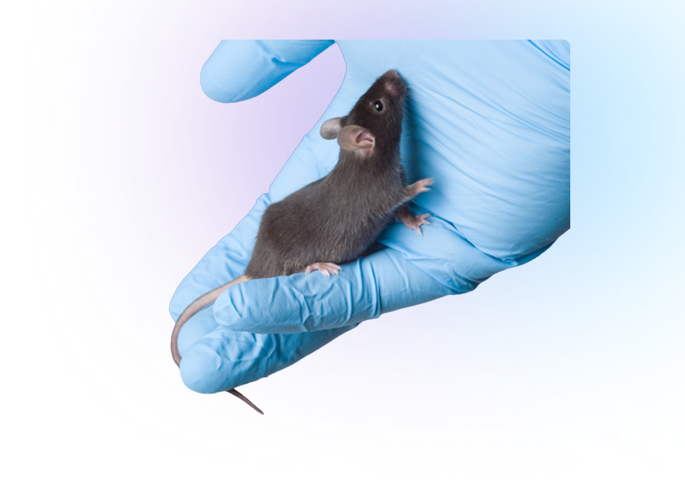 Banner RIght side Image