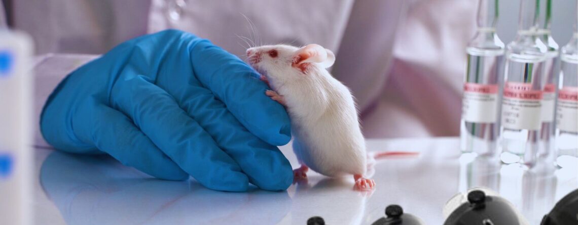 Tail-Cuff Blood Pressure in Mice and Rats Masthead