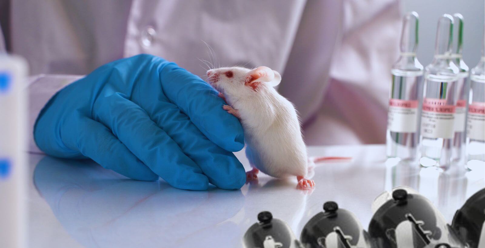 Tail-Cuff Blood Pressure in Mice and Rats: Getting It Right So Your Data Hold Up