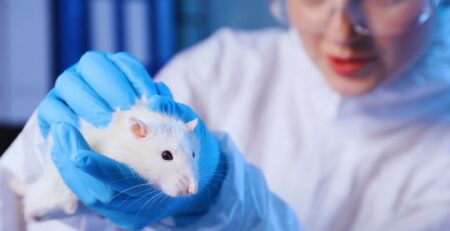 Preclinical Research Lifecycle